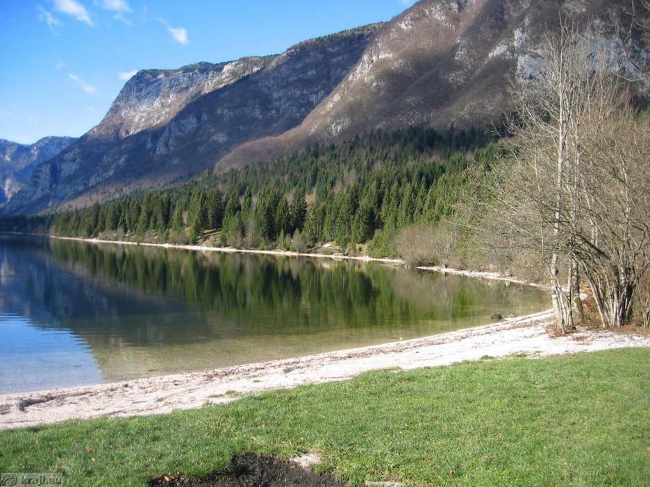Villa Boutique House Vresje Bohinjska Bistrica Exterior foto